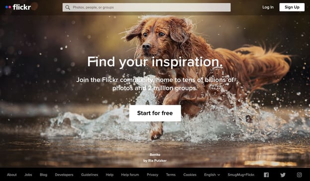 online portfolio: Flickr portfolio for photographers